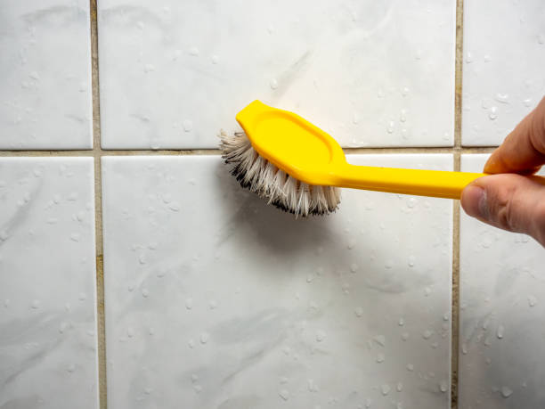 Best Mold Removal Near Me  in Belmar, NJ