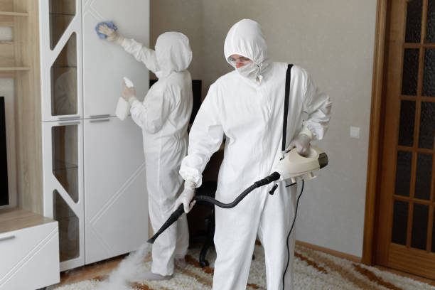 Best Mold Damage Repair  in Belmar, NJ