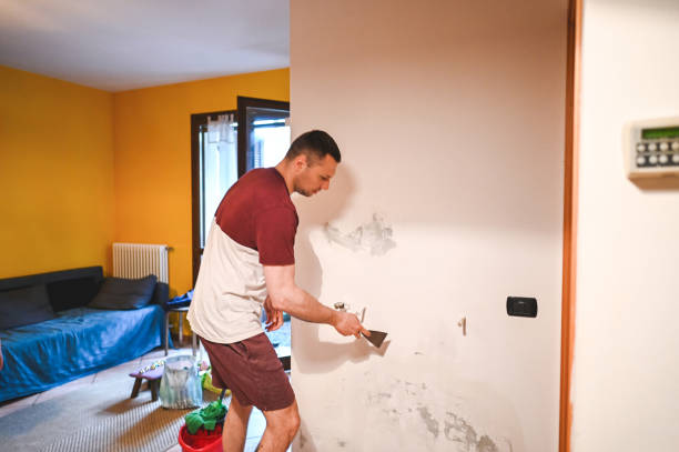 Best Commercial Mold Removal  in Belmar, NJ